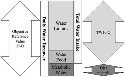 Validity and Reliability of a Water Frequency Questionnaire to Estimate Daily Total Water Intake in Adults